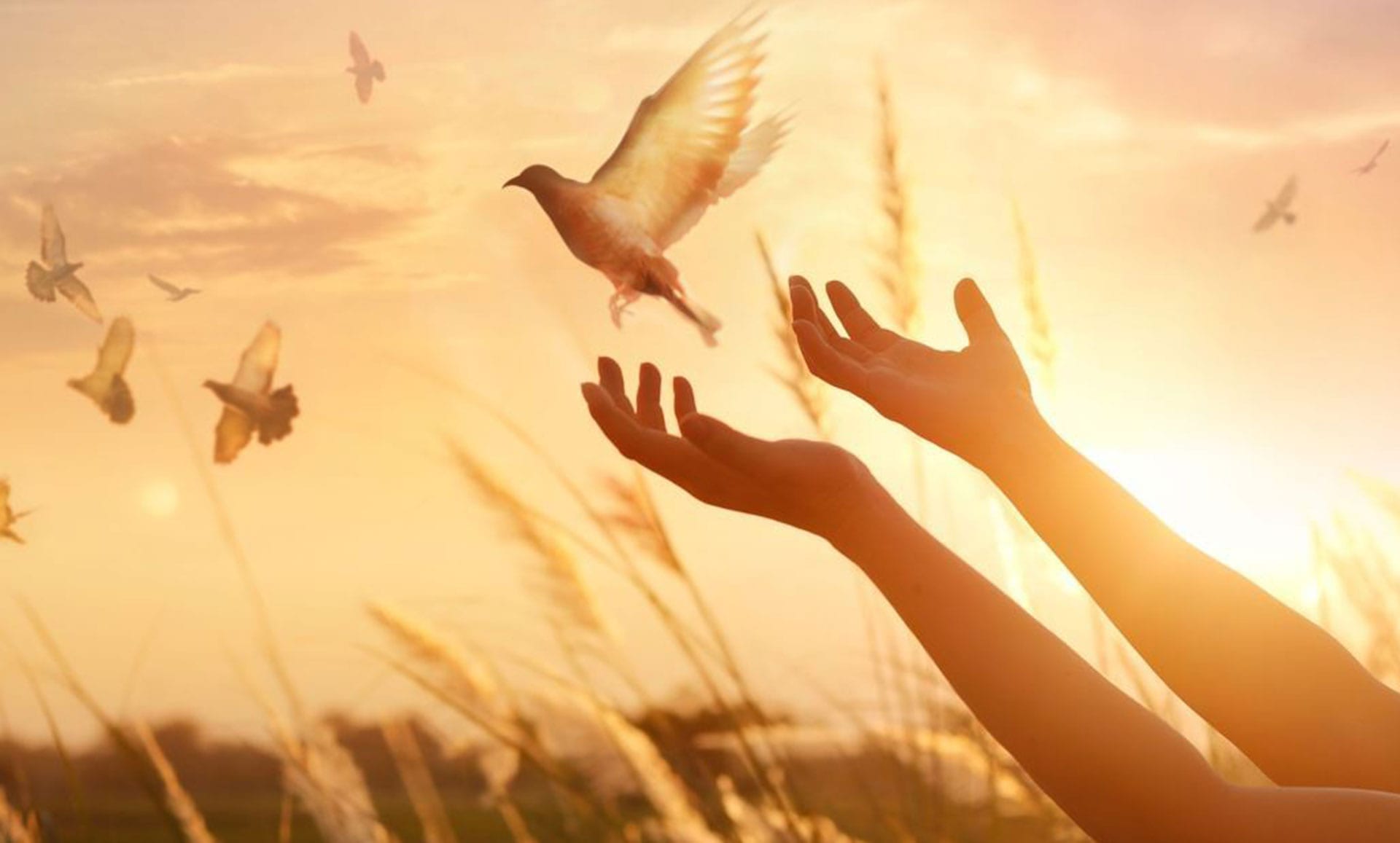 DevotionalBox YOU ARE SEPARATED FOR THE BLESSING